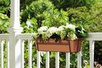 green basics balconnière 50cm terre cuite doux
